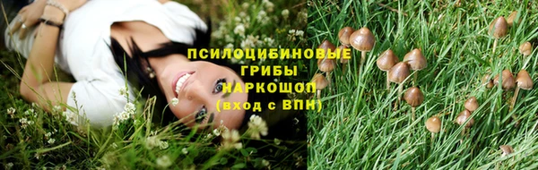 гашиш Вяземский