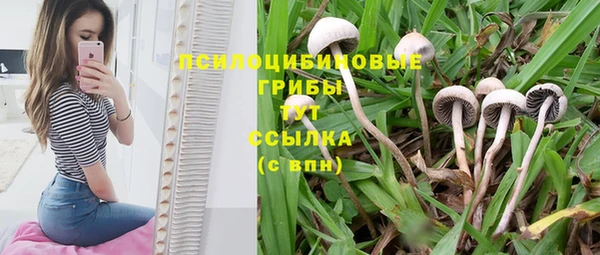 jwh Волоколамск